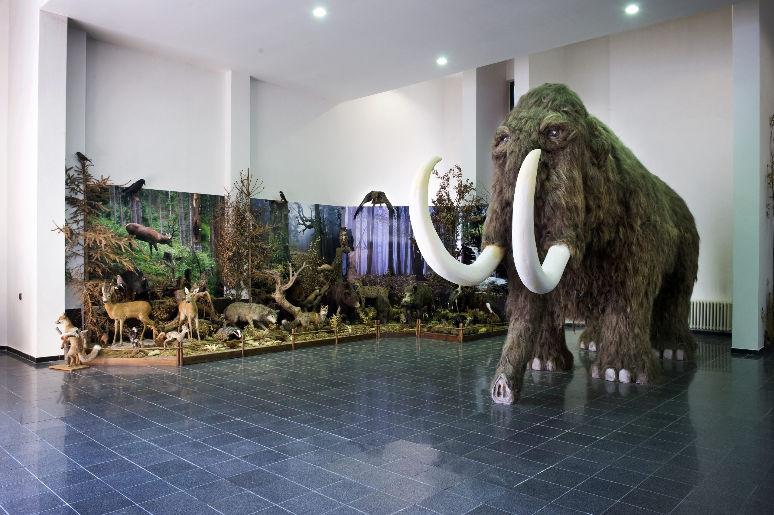 Vlastivedné múzeum v Krásne nad Kysucou