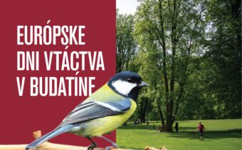 Európske dni vtáctva v Budatíne