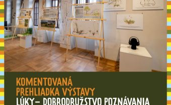 Komentovaná prehliadka výstavy Lúky – dobrodružstvo poznávania